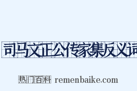 司马文正公传家集反义词是什么意思的图片